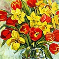 Red Tulips