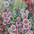 Hollyhocks