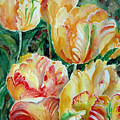 Tulips